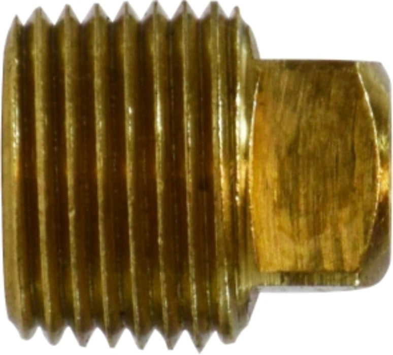 MLX184 Plug, 1/2" MPT