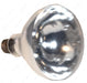 Bulb003 Bulb 120V 250W ELECTRICAL LIGHTS