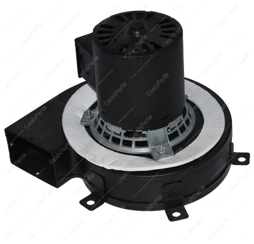 Mtr336 Motor 120V Electrical