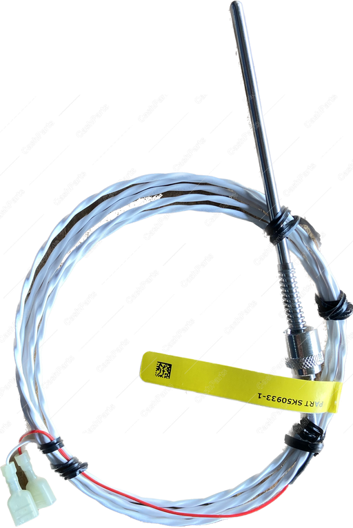 SENSOR268 Sensor Temperature RTD