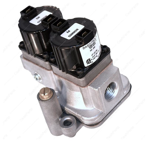 Slnd016 1/2In Fpt Gas In/Out